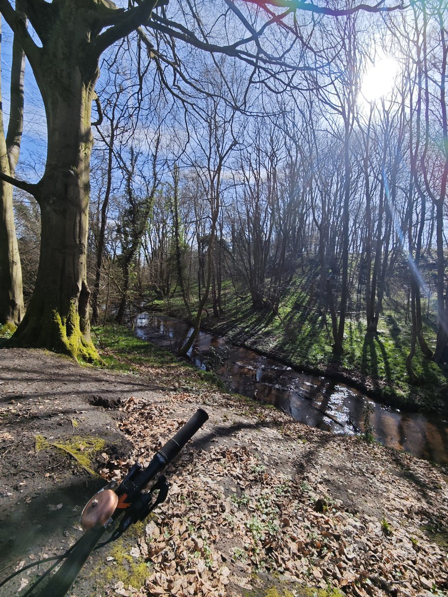 theluthier63's tweet image. #GetOut