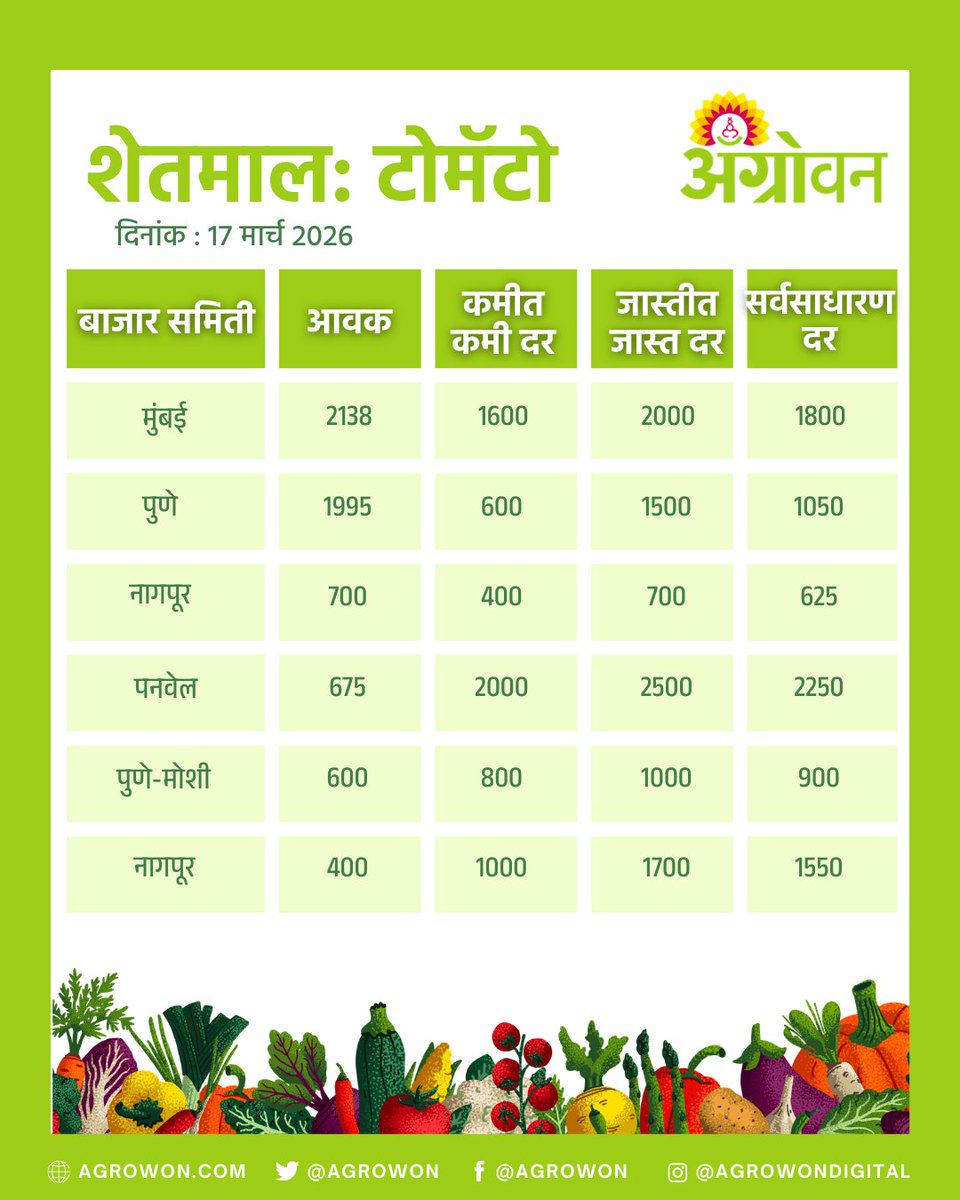 AGROWON's tweet photo. राज्यात कांदा, बटाटा, टॉमेटो, सोयाबीन किमती काय आहेत? कोणत्या पिकाच्या किमती वाढल्या आहेत, कोणत्या पिकाच्या किमतीत घसरण झाली आहे. हे जाणून घेण्यासाठी पाहा काय आहे आजचा बाजारभाव

#OnionPrice #SoybeanRate #MarketPriceUpdate #AgriMarket #FarmersUpdate https://t.co/KIl6G1jQB2