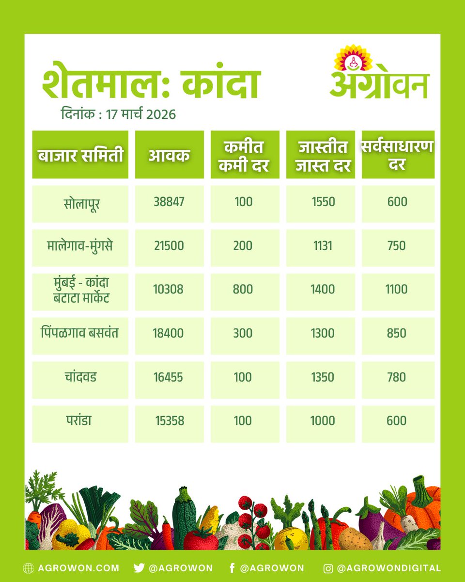 AGROWON's tweet photo. राज्यात कांदा, बटाटा, टॉमेटो, सोयाबीन किमती काय आहेत? कोणत्या पिकाच्या किमती वाढल्या आहेत, कोणत्या पिकाच्या किमतीत घसरण झाली आहे. हे जाणून घेण्यासाठी पाहा काय आहे आजचा बाजारभाव

#OnionPrice #SoybeanRate #MarketPriceUpdate #AgriMarket #FarmersUpdate https://t.co/KIl6G1jQB2