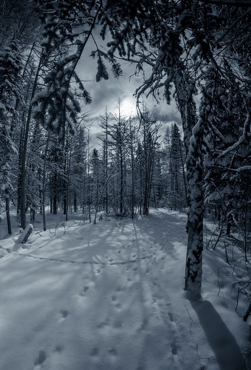 Loki Highlock tweet media