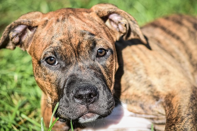 Jonathan Hull tweet media