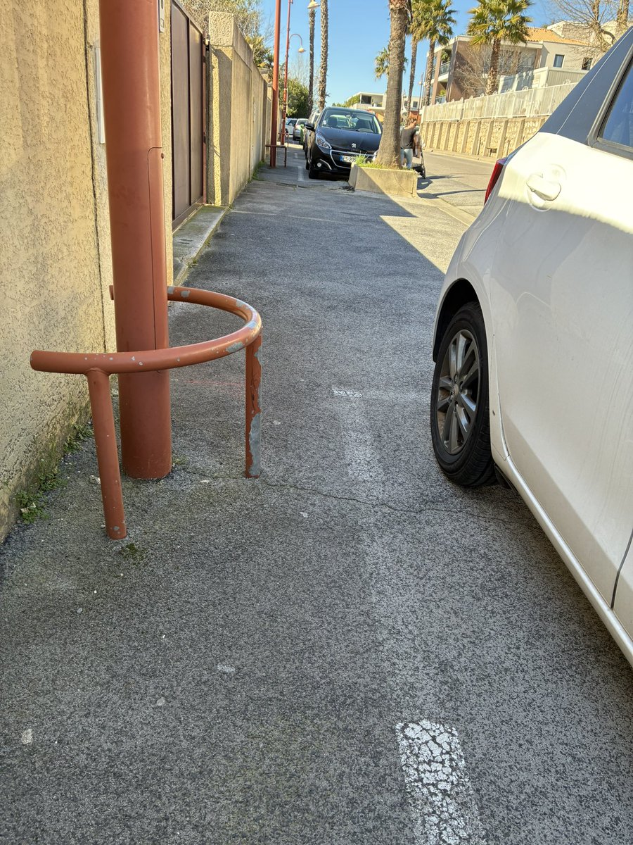 Mélina 🍁 tweet media