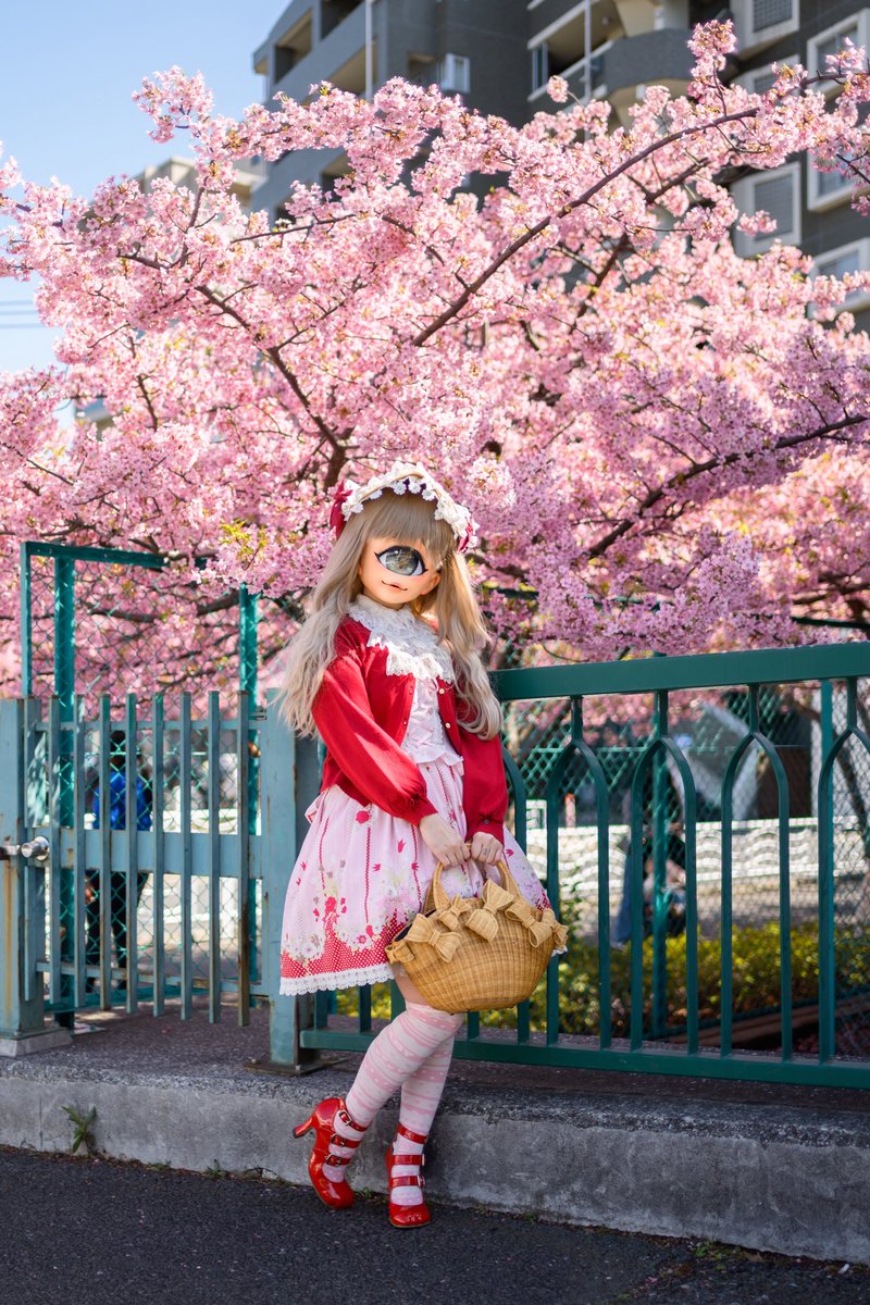 🌸.｡.:*♡🌸春だね〜🌸.｡.:*♡
📸：<a href="/cyclops1001/">kouki</a> 

#ちもさんフレンズ
#chimofriends