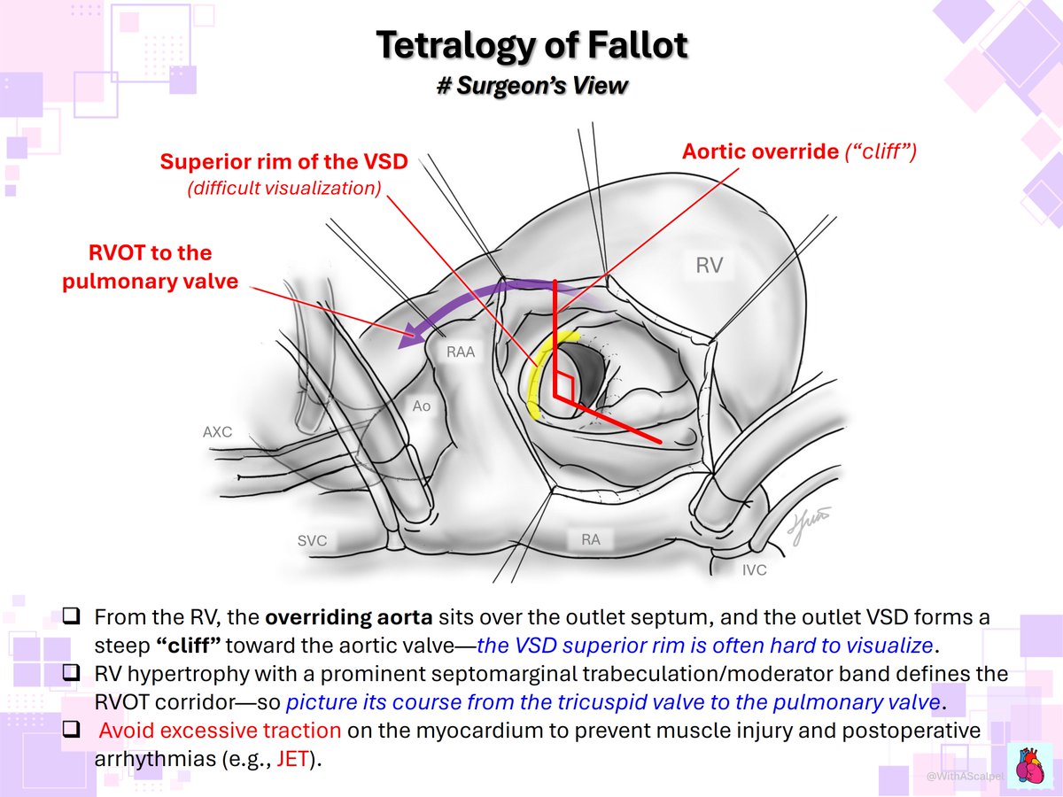 WithAScalpel tweet media