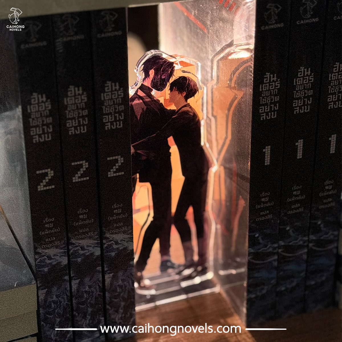 CAIHONGNOVELS tweet media