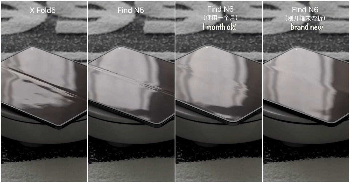 Noah Cat tweet media