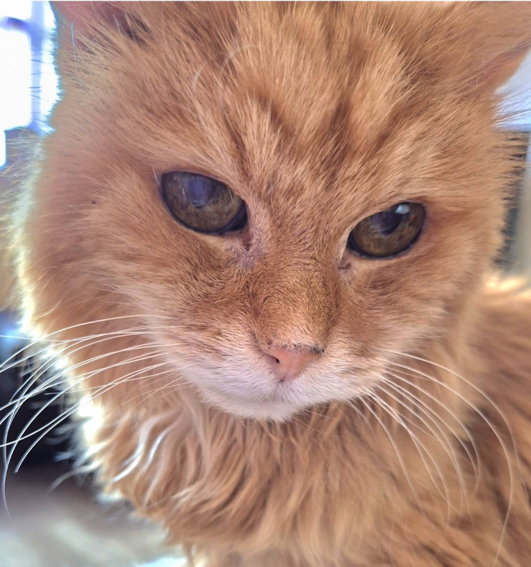 RED'S JEWELS tweet media