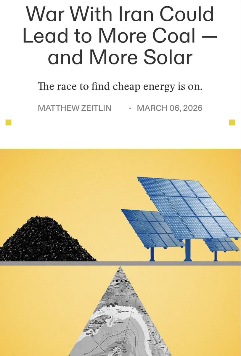 Matthew Zeitlin tweet media