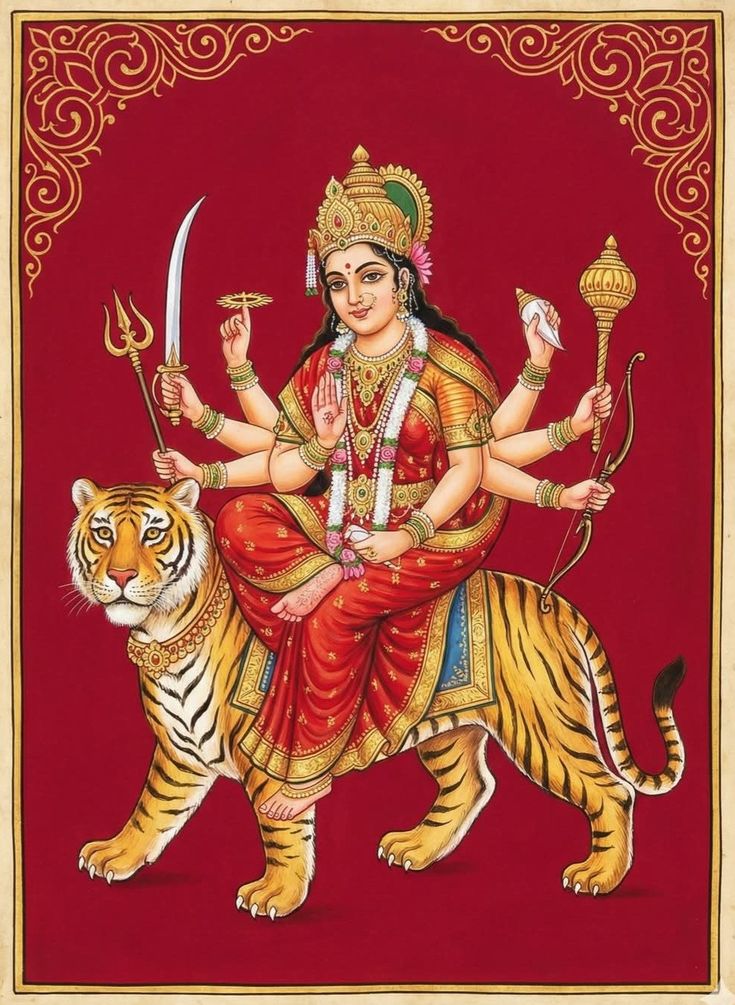 Bharani Astrology🪷🌙𓃰 tweet media