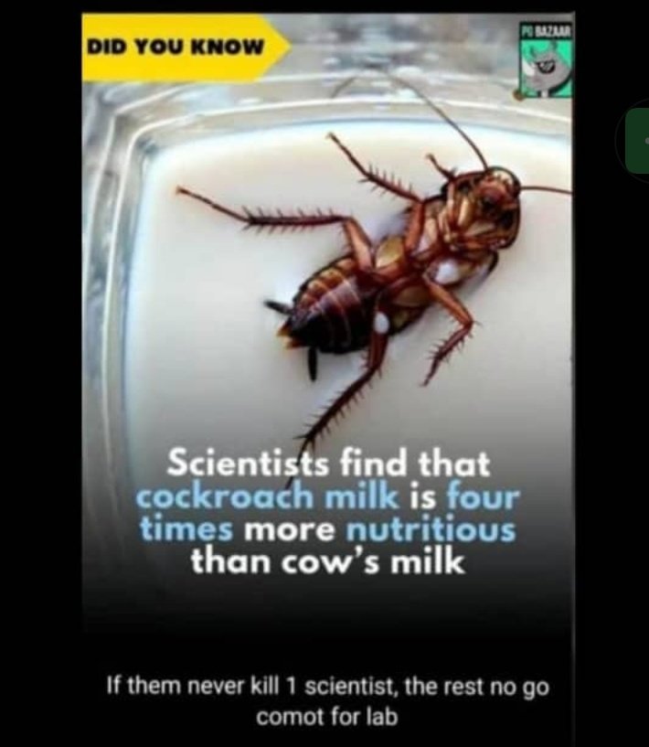 Gems Shizzy ❤Sorai tweet media