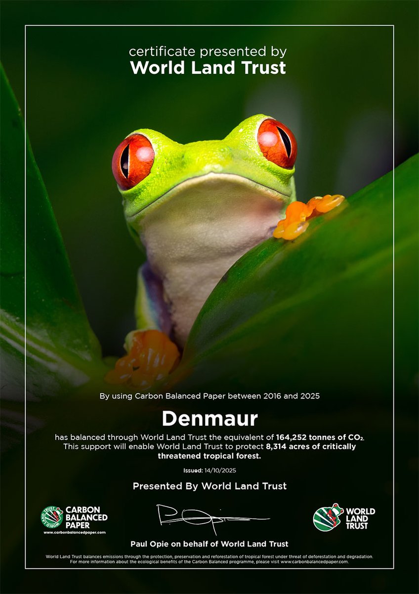 Denmaur Paper Media tweet media