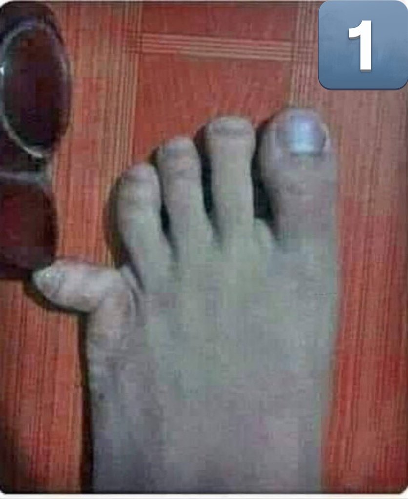 Good Fellow tweet media