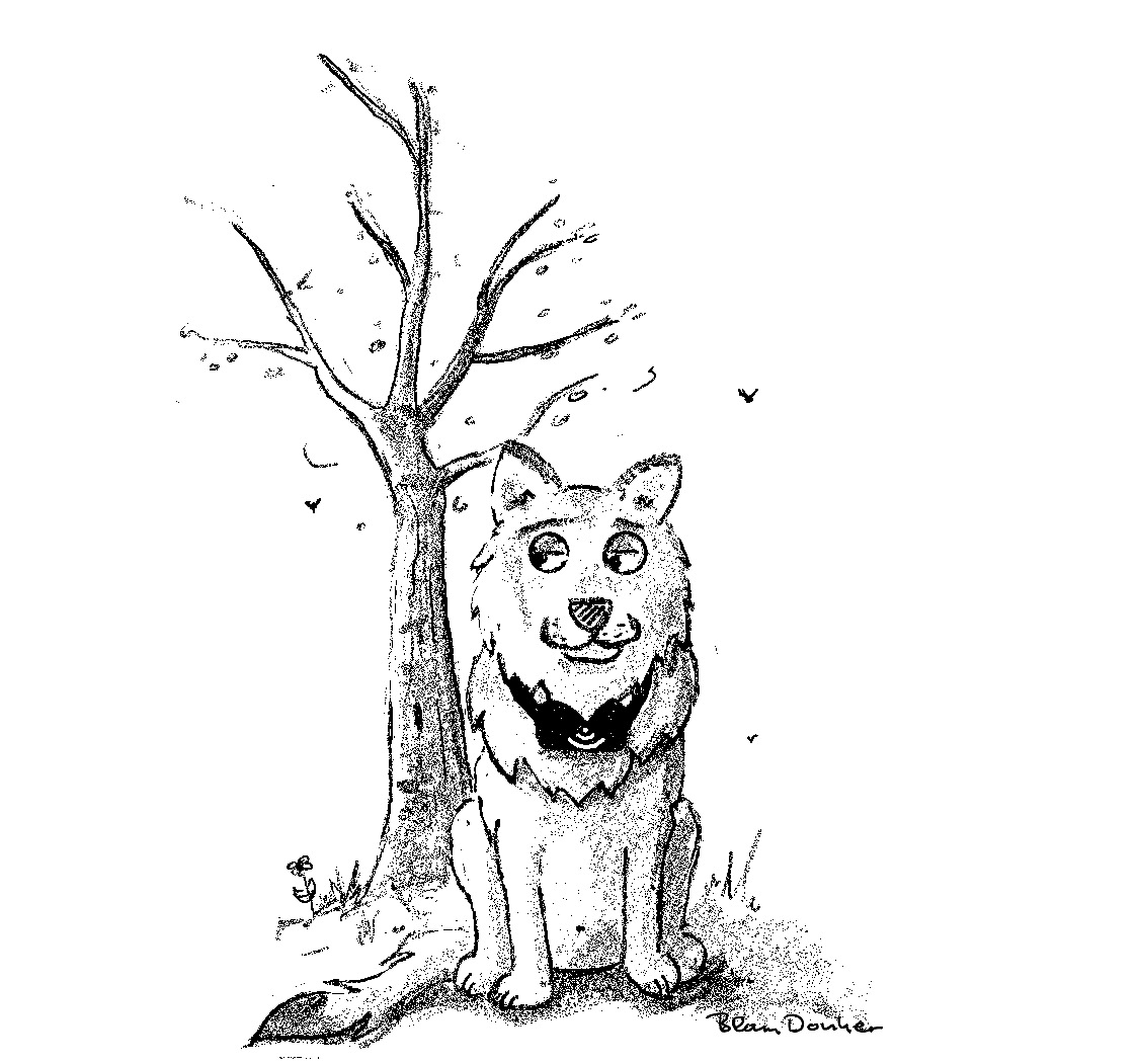 Mensen vergeten dit elk jaar…

Het welpenseizoen van de wolf komt eraan 🐺

Deze gezenderde wolf leeft met zijn roedel op de Utrechtse Heuvelrug.

Eén verstoring kan al fataal zijn voor de welpen.

Gun ze rust.

Eens of oneens?

Mijn getekende versie van de gezenderde wolf