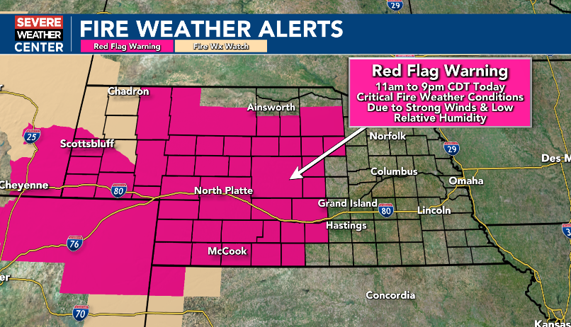 Brandon Rector tweet media