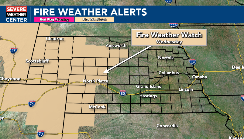 Brandon Rector tweet media