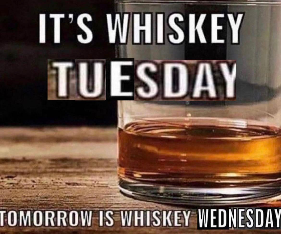 唯我独尊・宮内蛍 tweet media