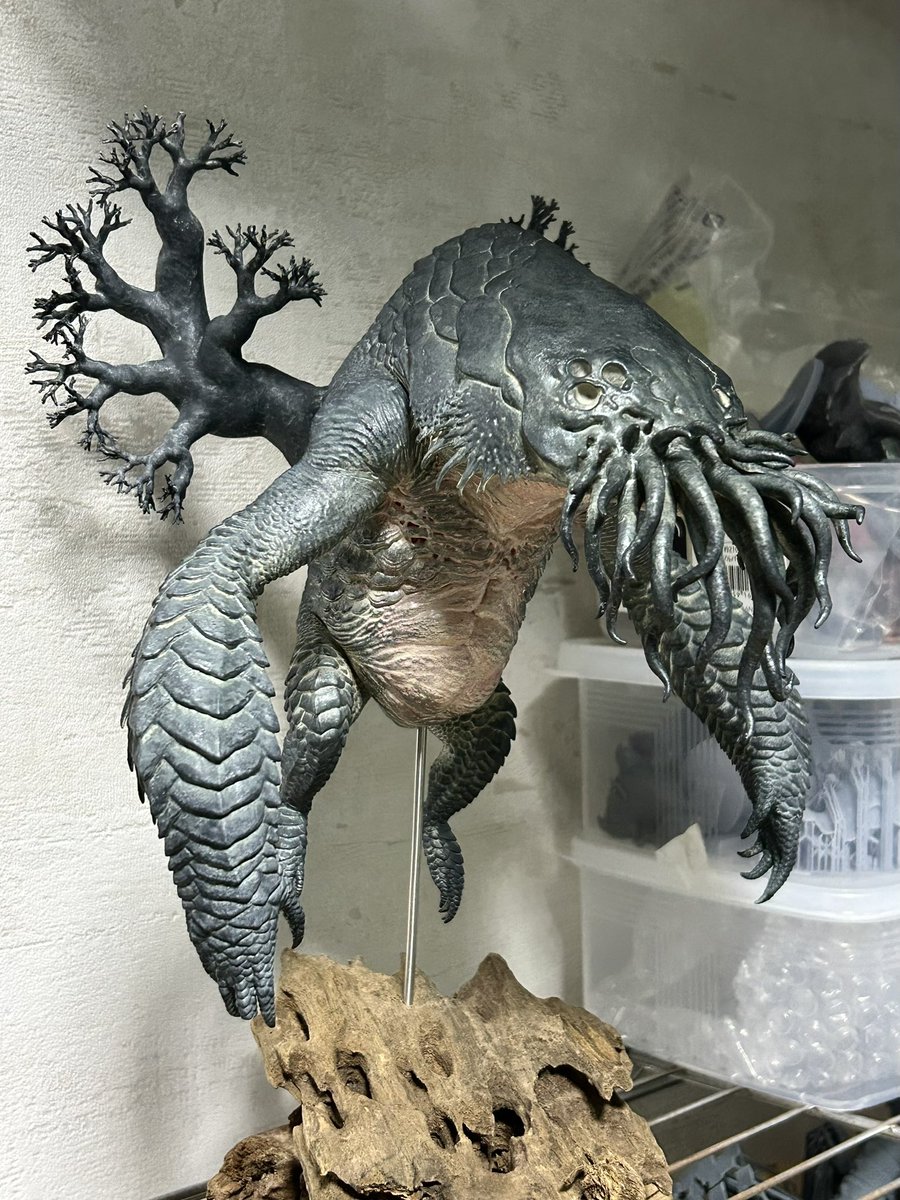 nao70shark tweet media