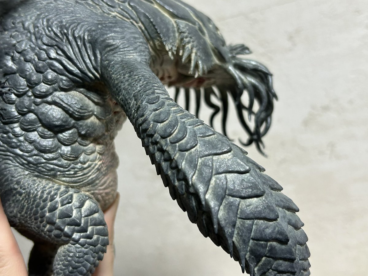 nao70shark tweet media