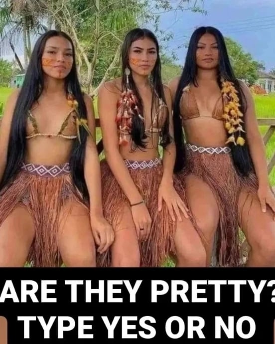 Native American tweet media