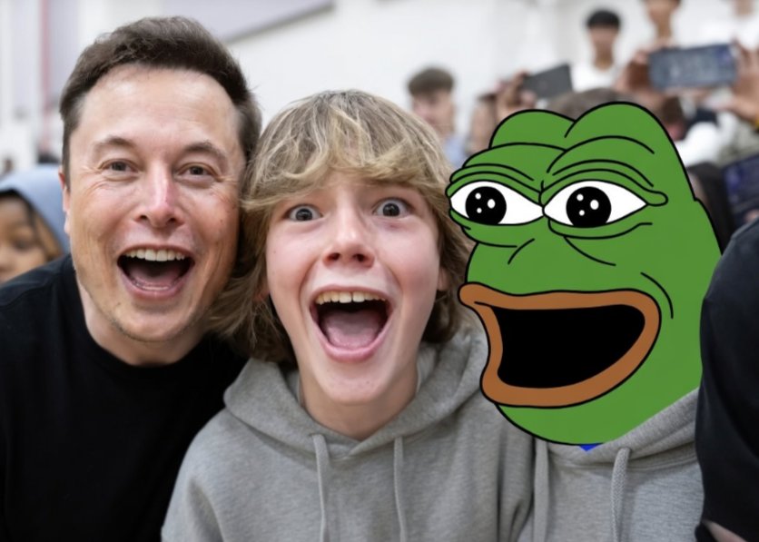 Elon 67 Pepe tweet media