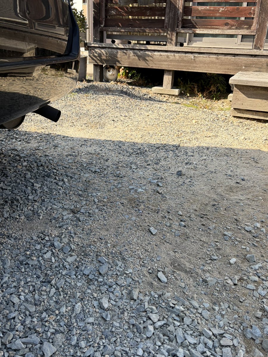 たつお tweet media