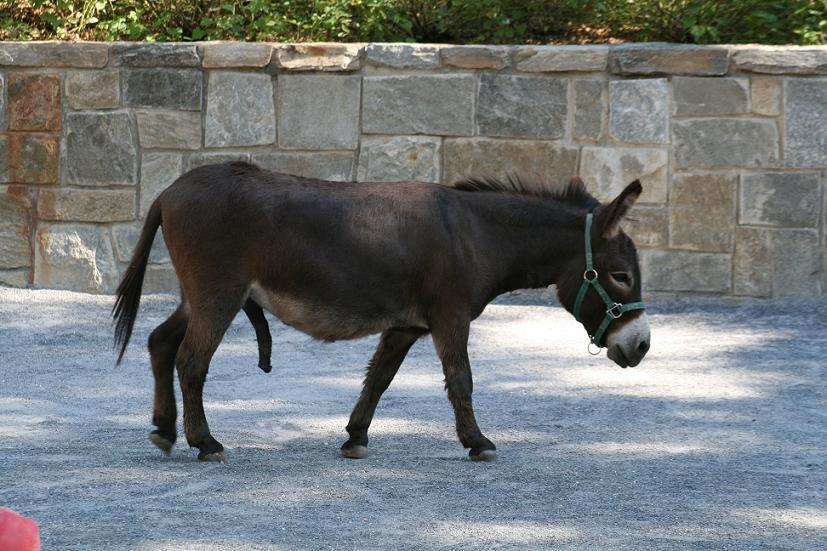 Thomas Shelby tweet media