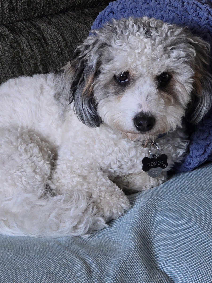 * Η αληθινή φιλία, έρχεται με λασπωμένα πόδια και σαλιαρισμένα φιλιά*🤗 Διότι η αγάπη.. είναι μία τετράποδη λέξη...🐶 #κατι_δικα_μου ....