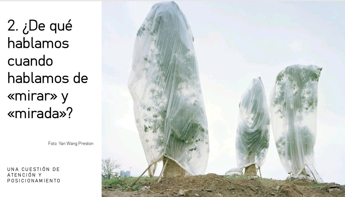 Juan F. Rivero tweet media