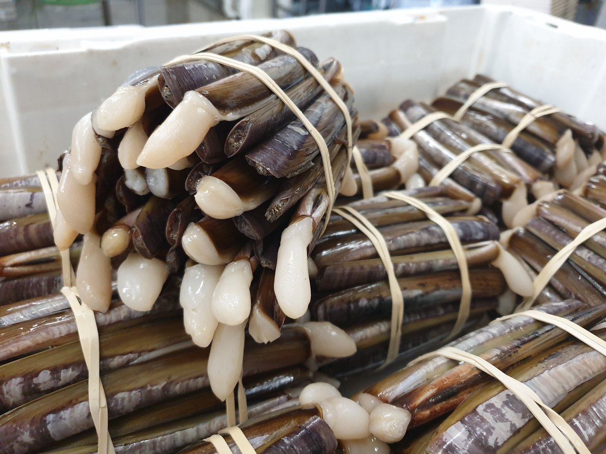 O Percebeiro tweet media