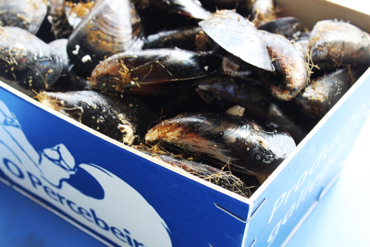 O Percebeiro tweet media