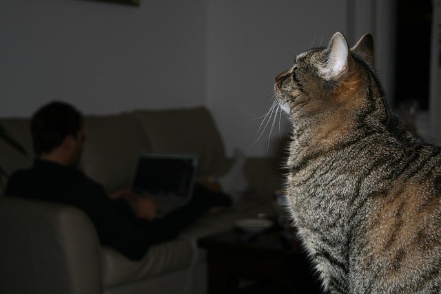 Adrian Landino tweet media