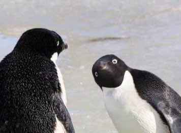 미류 ⸊ဂဗ ⭐️5.0(99+) tweet media