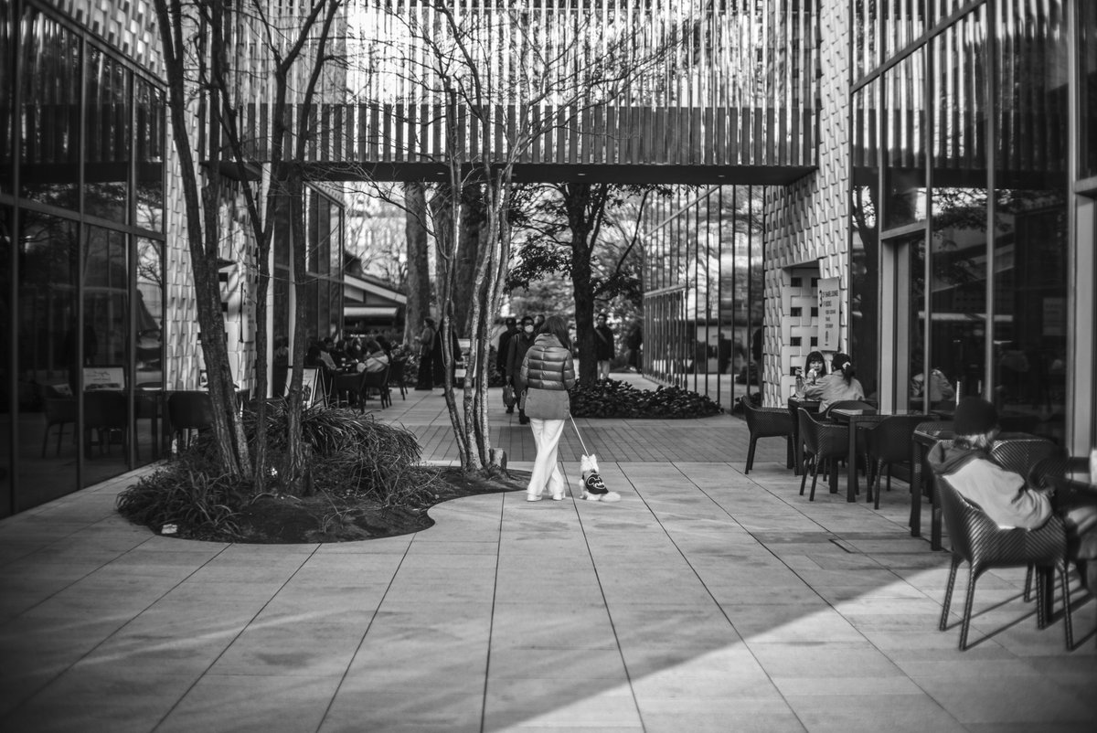 candy1962 tweet media