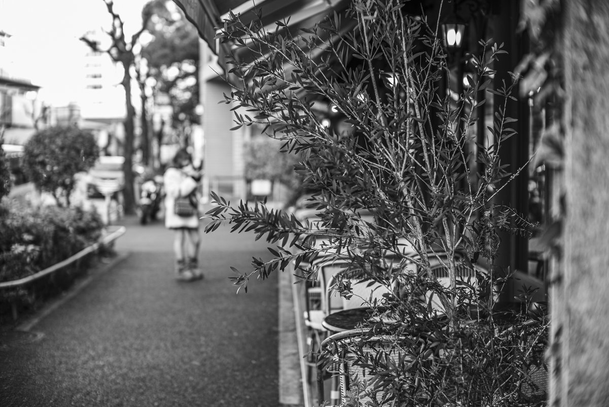 candy1962 tweet media