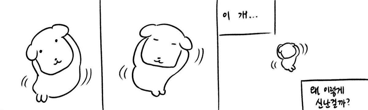 개난리쇼
시작
