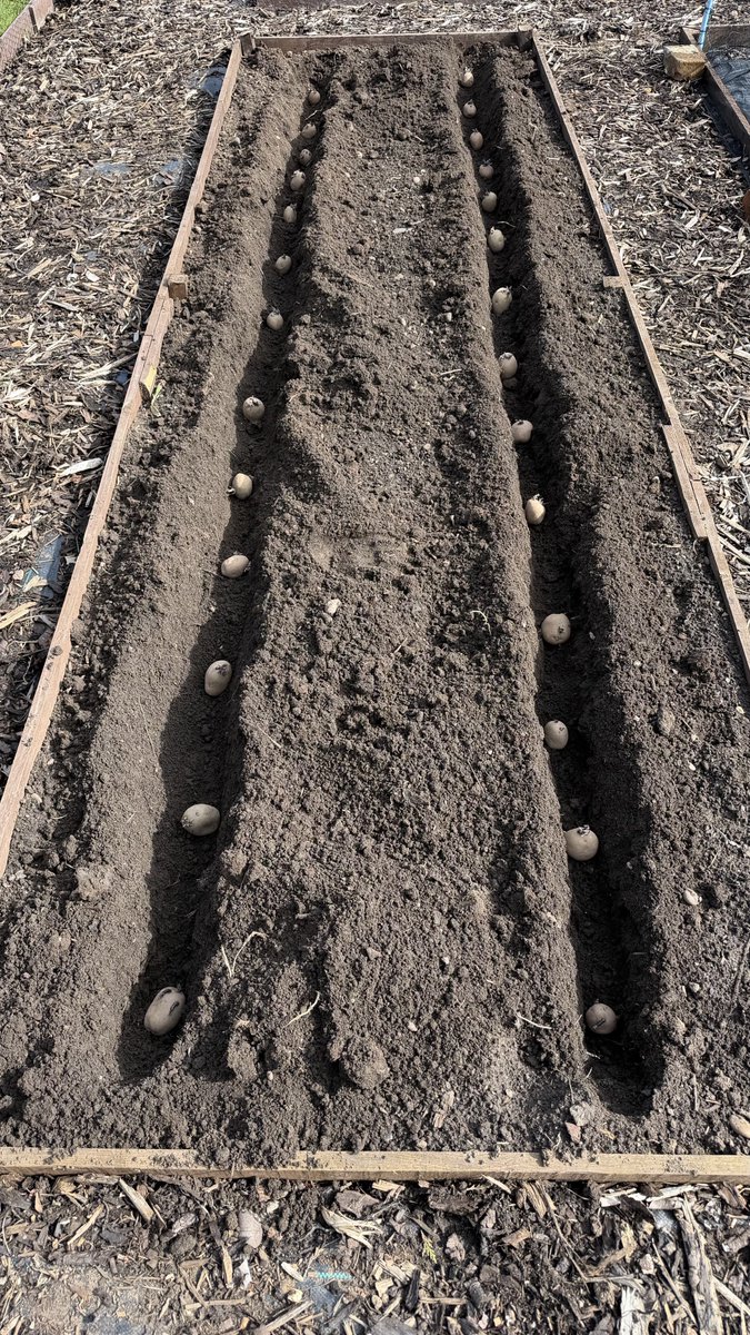 Ewan Ogilvie tweet media