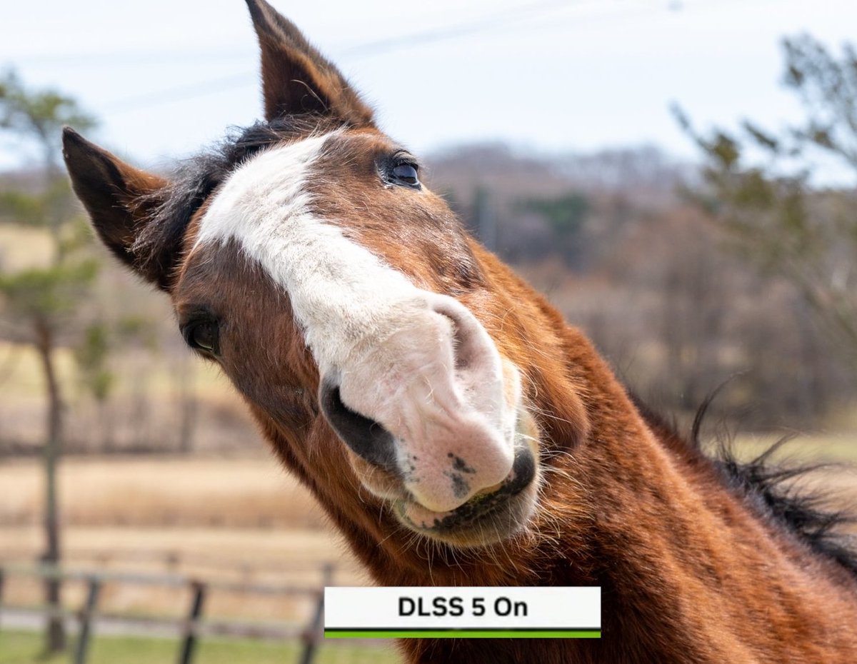 Timely Meisho Doto 🤍 tweet media