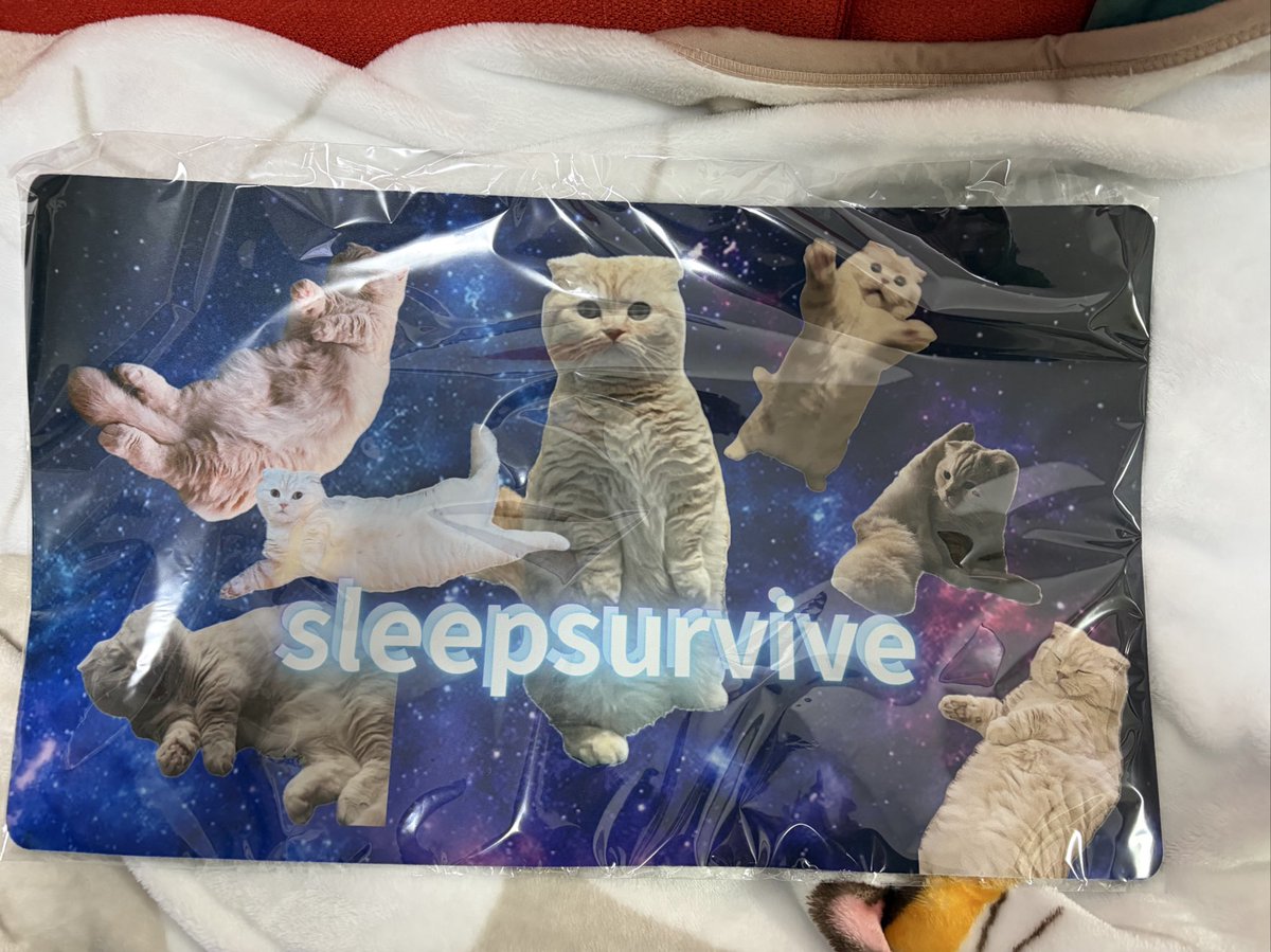 Shinnosuke Saiga tweet media