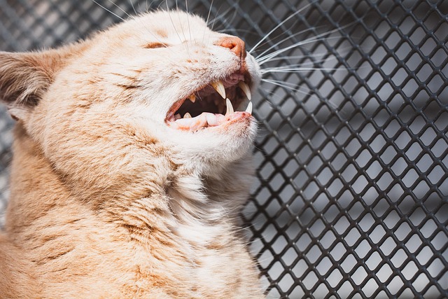 Daniel Wells tweet media