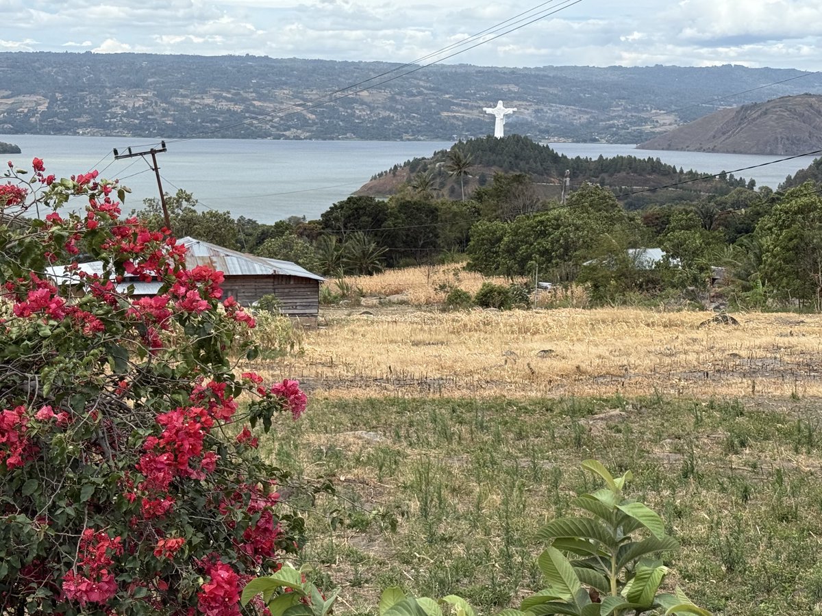 Dr Andrew Fleming 🇬🇧 🏴󠁧󠁢󠁳󠁣󠁴󠁿 tweet media