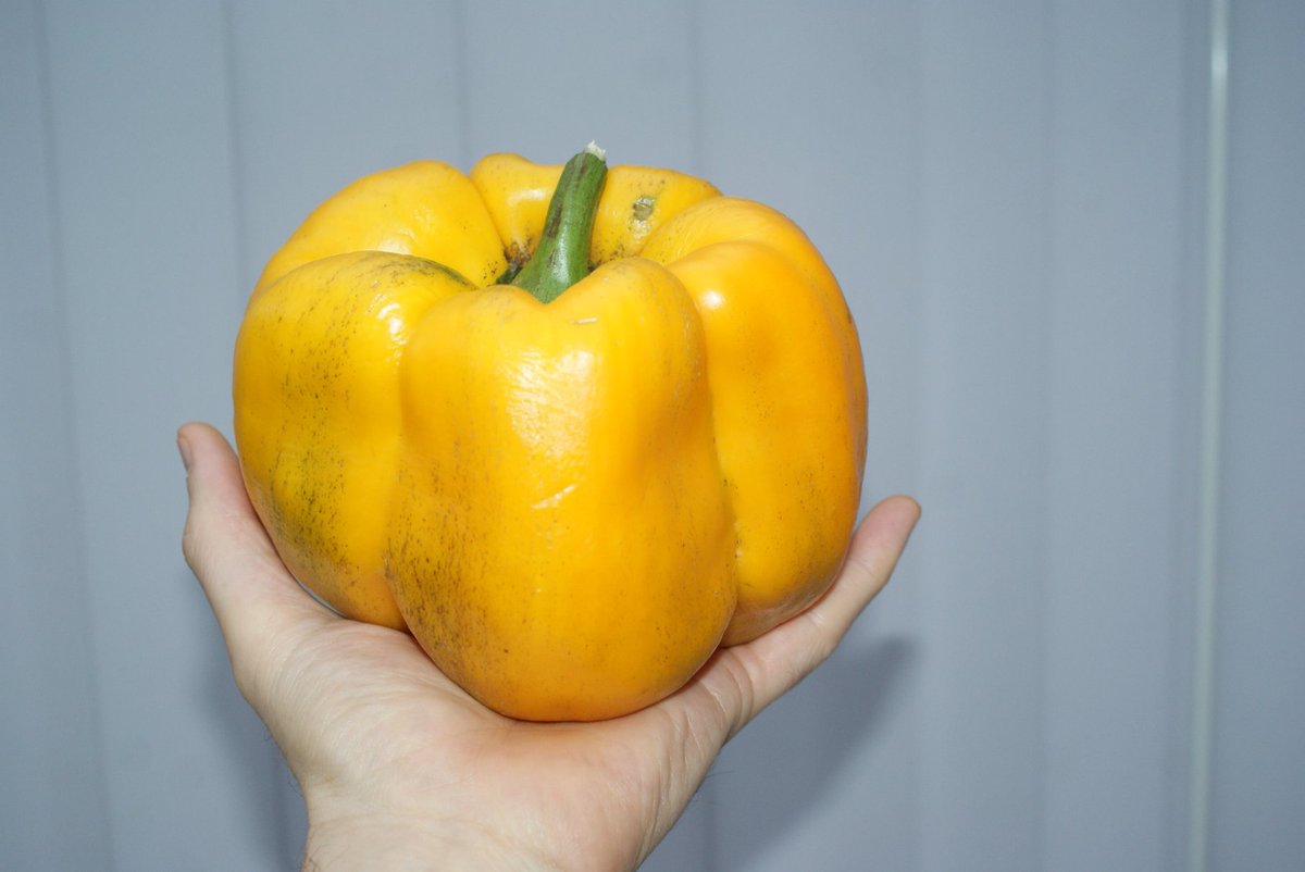 Chris Fowler tweet media