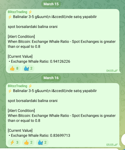 BLITZZ 🎒 tweet media