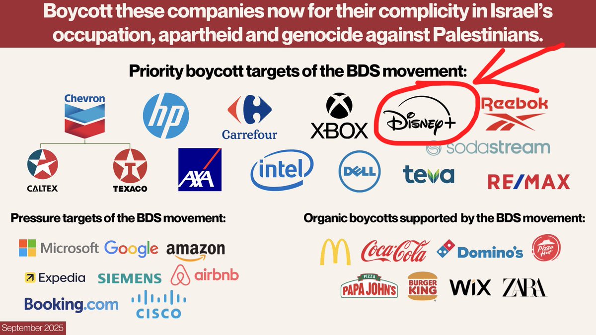 ⌞oat⌝ tweet media