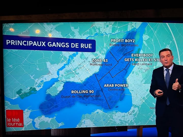 Commentaire lu sur Facebook : 

"Il  y a 20 ans à Montréal quand tu postulais pour un emploi, il y avait la petite case en bas de la feuille :
 «  Faites vous parti d’une minorité visible ? » 

En 2026 si vous êtes québécois blanc c'est vous qui cochez cette case"