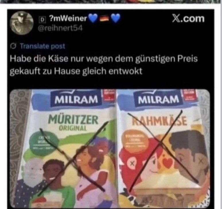 schrammi 🐠 tweet media