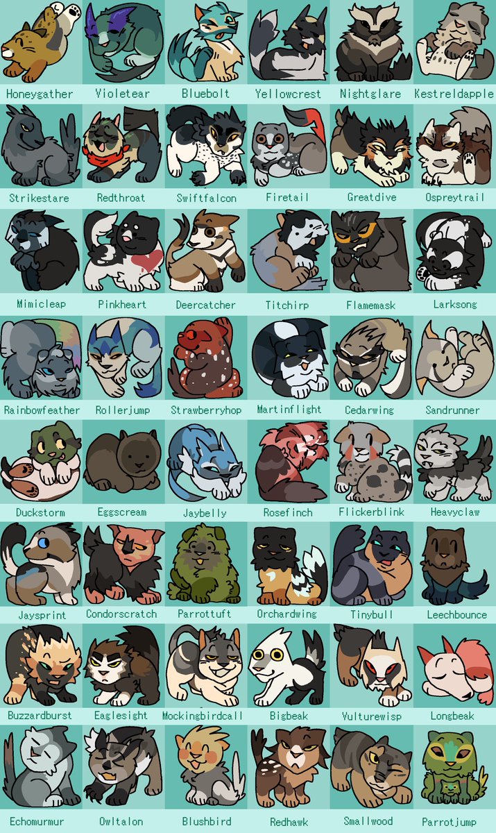 gato sapata 💬 tweet media