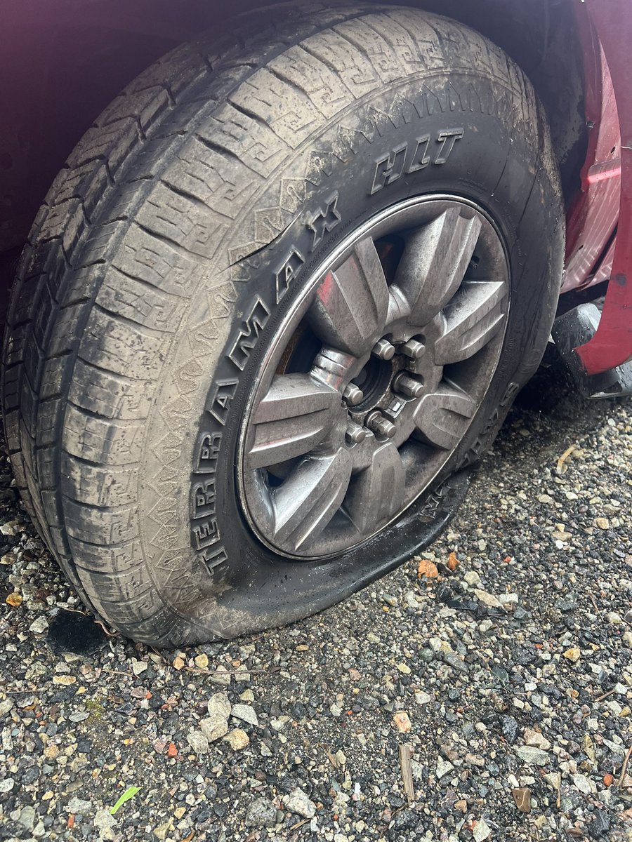 SenseiGrenade GoMining Ambassador tweet media