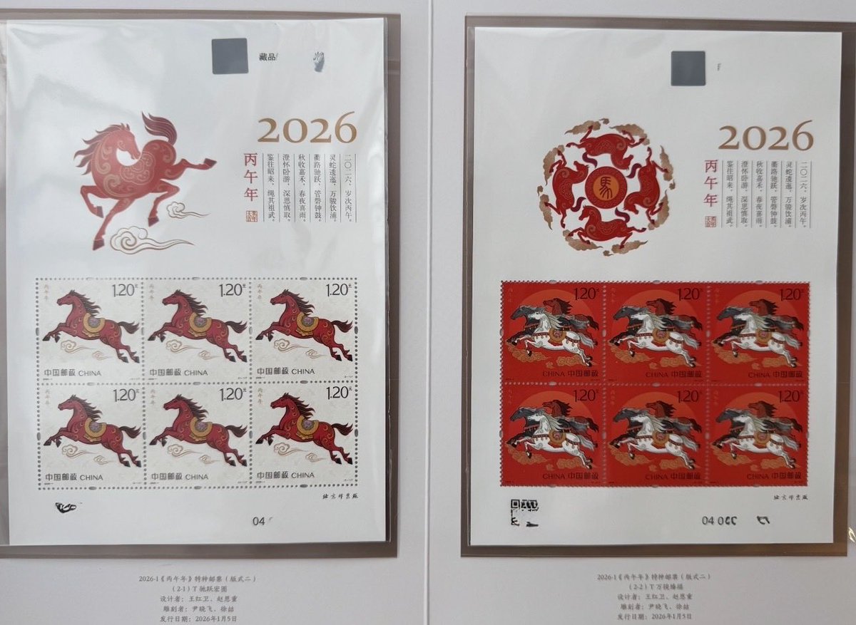 Sesour 🌏 tweet media