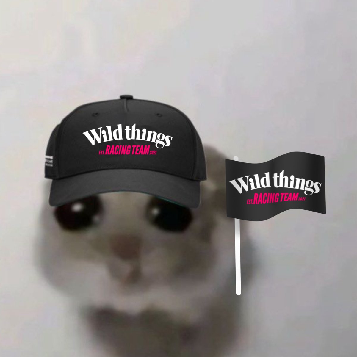 Wild things Racing tweet media