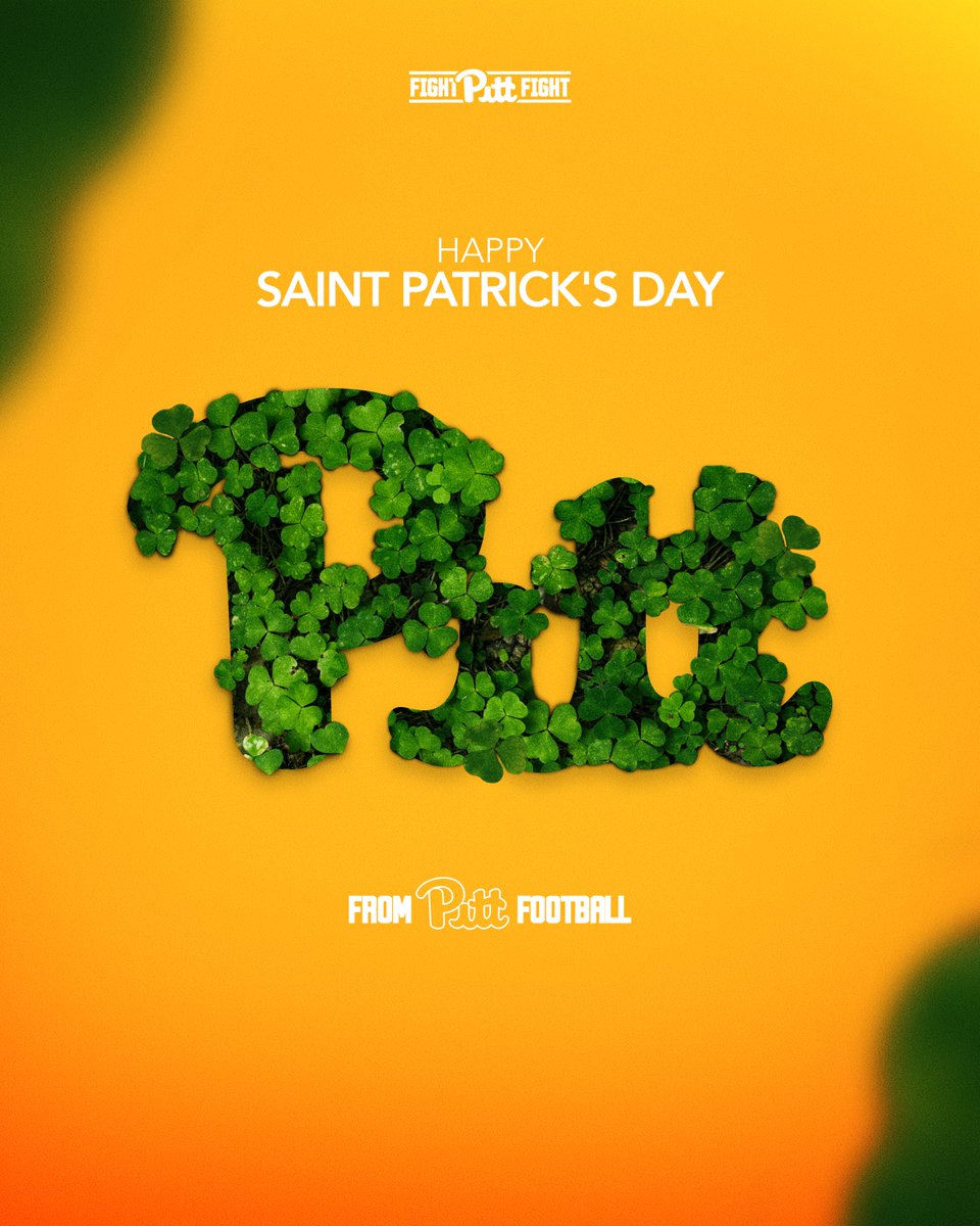 Pat Narduzzi tweet media